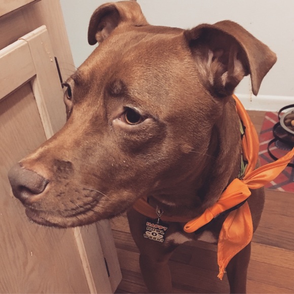 Meet your Posher, Jstarr - Picture 8 of 16